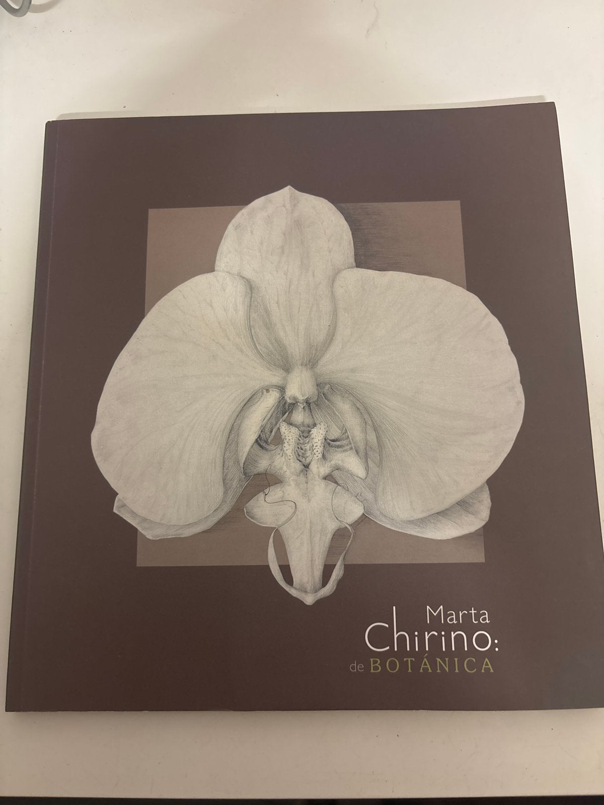 Marta Chirino: de Botánica - Kunstboek over Botanische Kunst, Ophalen of Verzenden, Gelezen, Overige onderwerpen