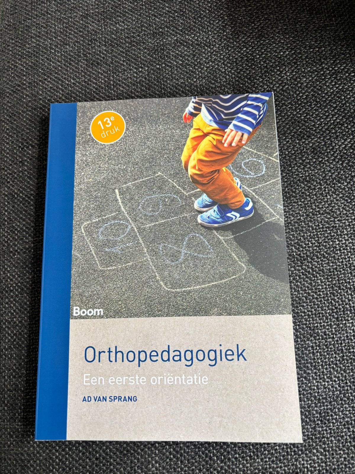 Orthopedagogiek: Een eerste oriëntatie (13e druk), Ophalen of Verzenden, Gamma, Zo goed als nieuw, HBO