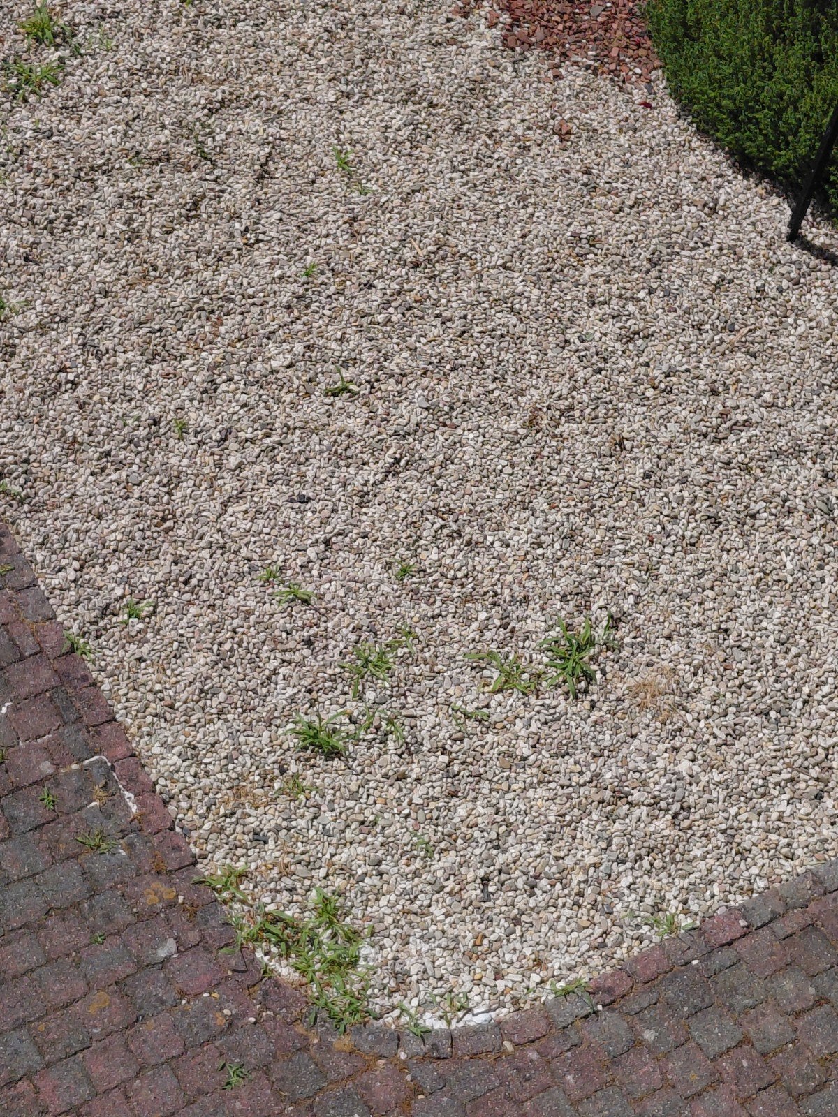 Gratis Witte Kiezelstenen goed voor 40m2, Tuin en Terras, Ophalen, Gebruikt, Wit