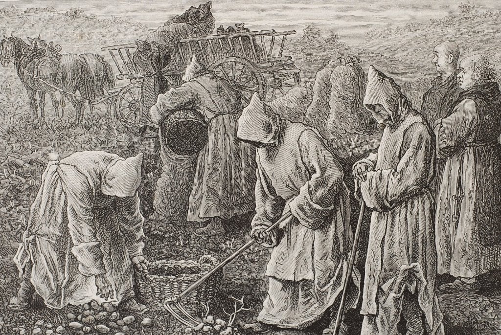Trappisten aan den veldarbeid - Bertrand origineel ca. 1885, Verzenden, Voor 1940, Zo goed als nieuw, Overige onderwerpen