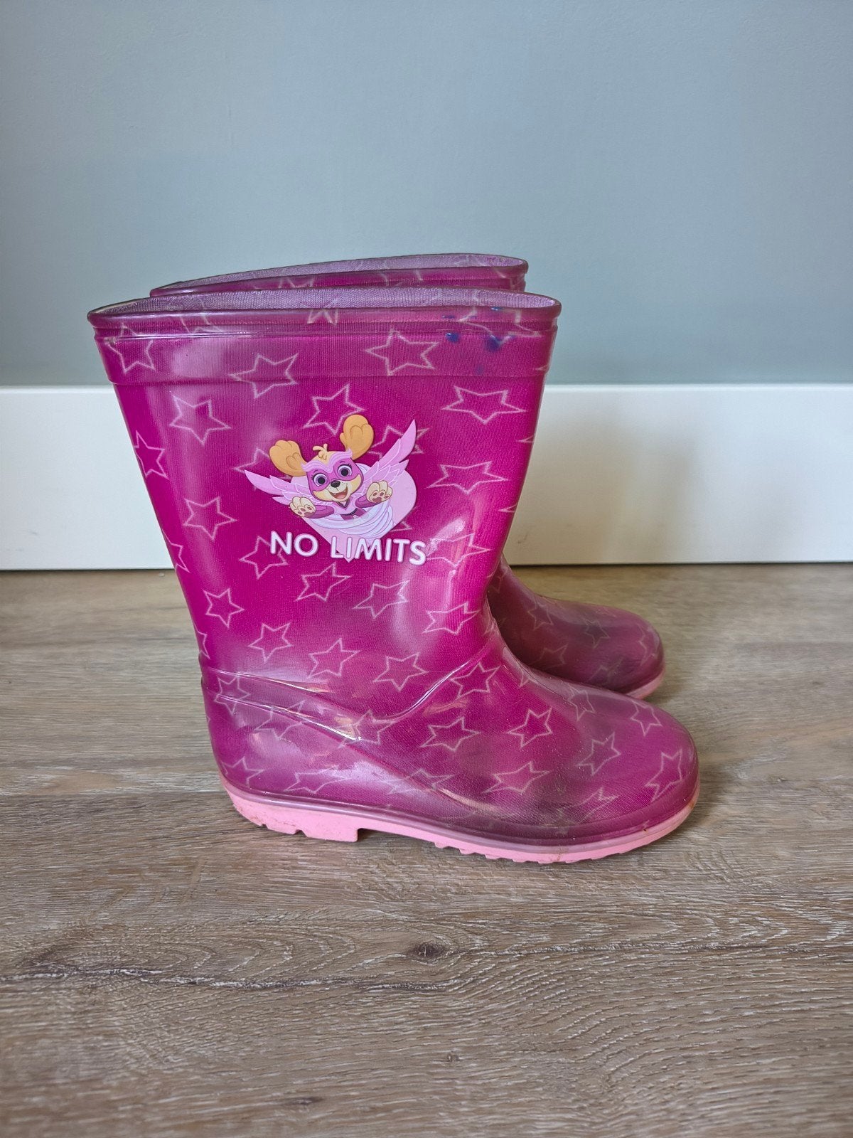 Paw Patrol regenlaarzen maat 28, Ophalen of Verzenden, Zo goed als nieuw, Meisje