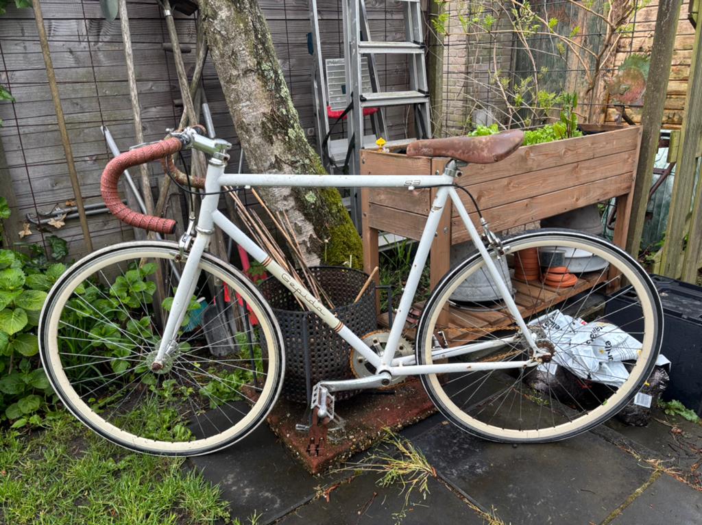 Fixie opknapfiets te koop, Ophalen of Verzenden, Gebruikt, Overige merken