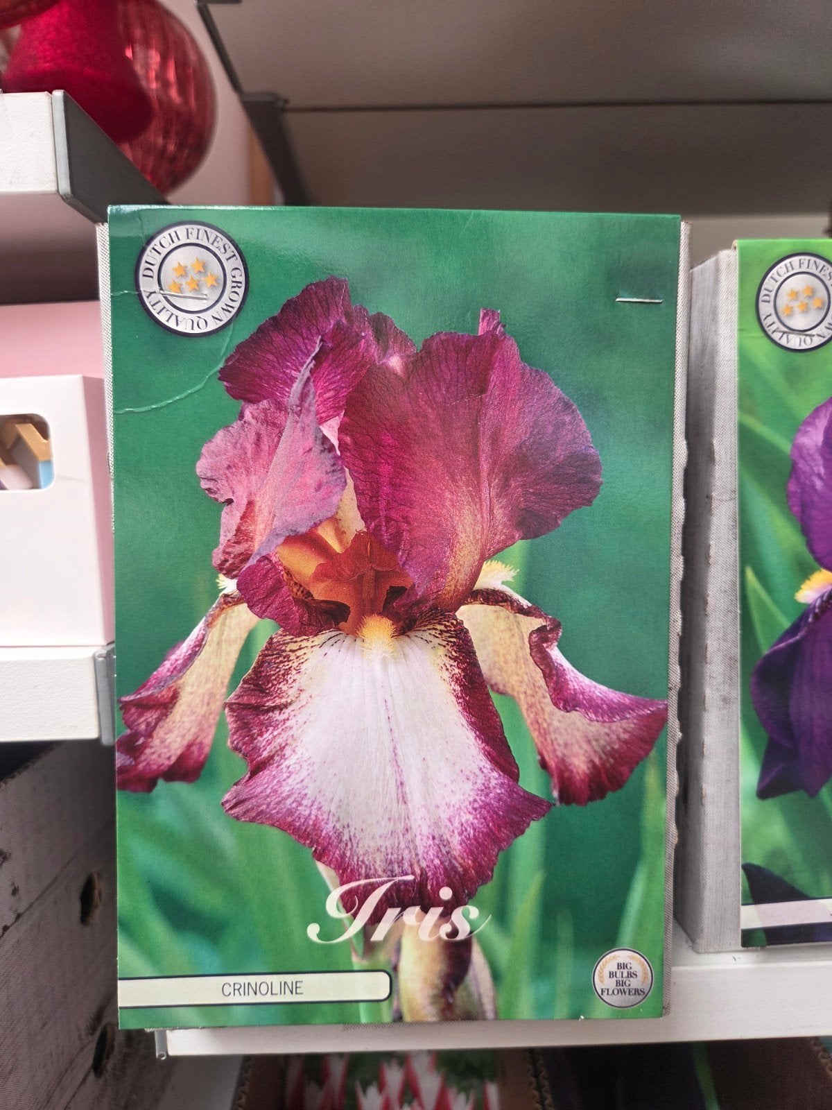 Iris Germanica - Diverse kleuren beschikbaar, Ophalen of Verzenden, Najaar, Volle zon, Wortelstok