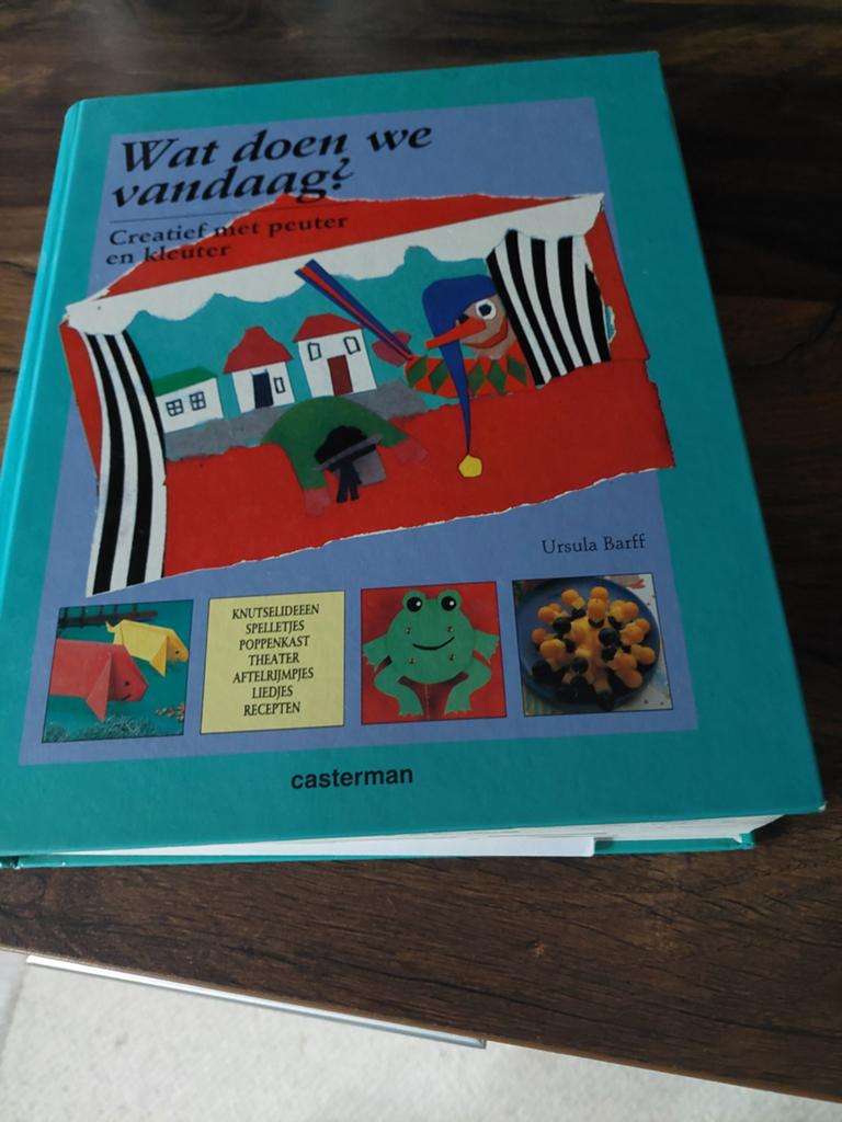 Wat doen we vandaag? Knutselboek voor peuter en kleuter, Boeken, Ophalen of Verzenden, Non-fictie