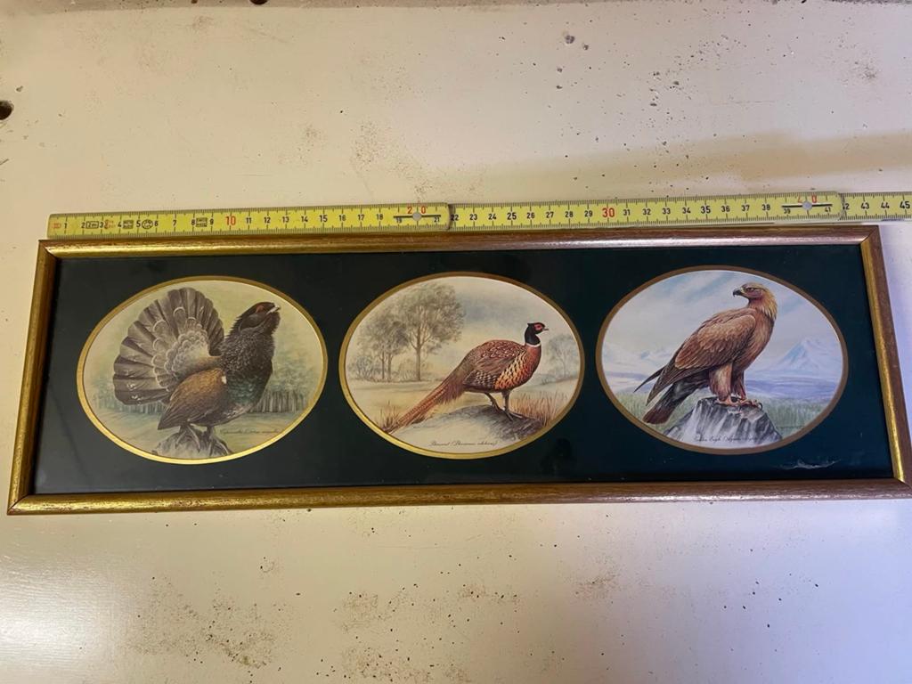 Schilderijtje vogels, Ophalen of Verzenden