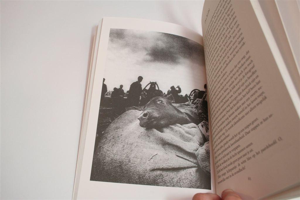 Charlotte Mutsaers — Paardejam, Boeken, Literatuur, Ophalen of Verzenden, Gelezen