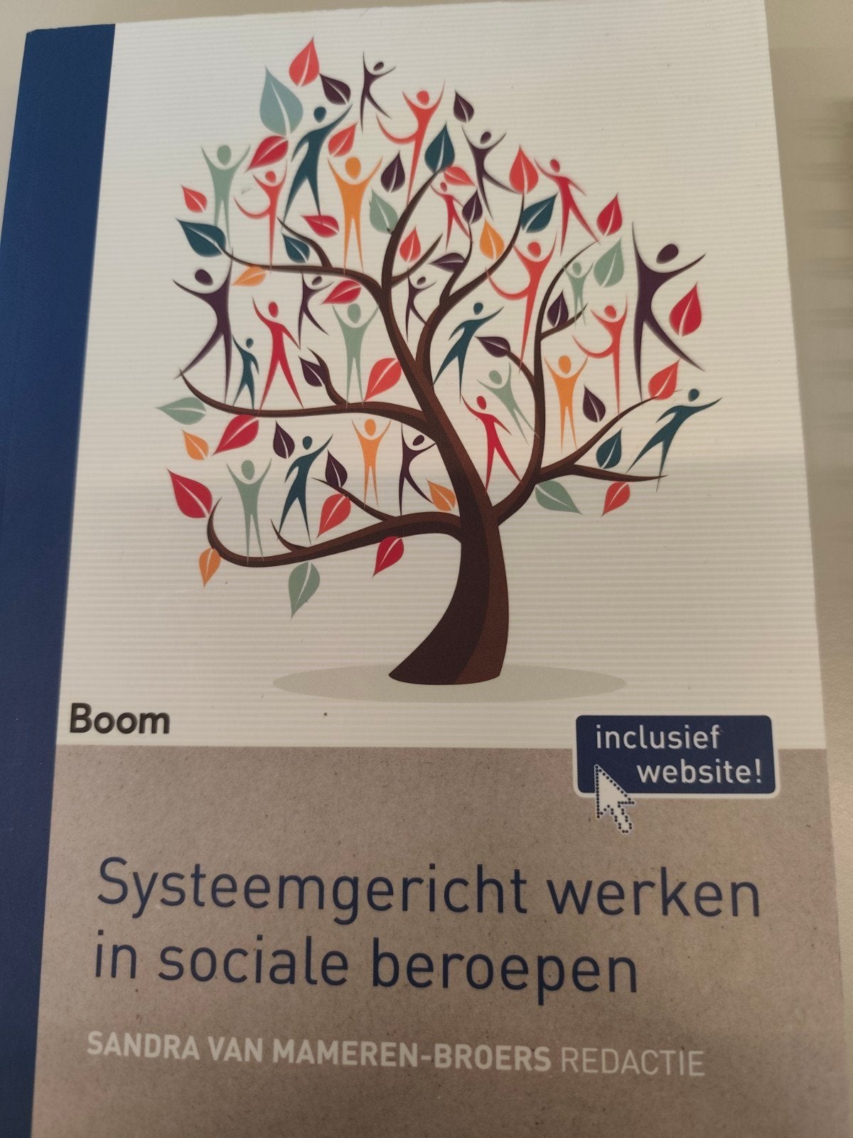 Systeemgericht werken in sociale beroepen, Sandra van Mameren-Broers, Ophalen of Verzenden, Zo goed als nieuw, Nederland
