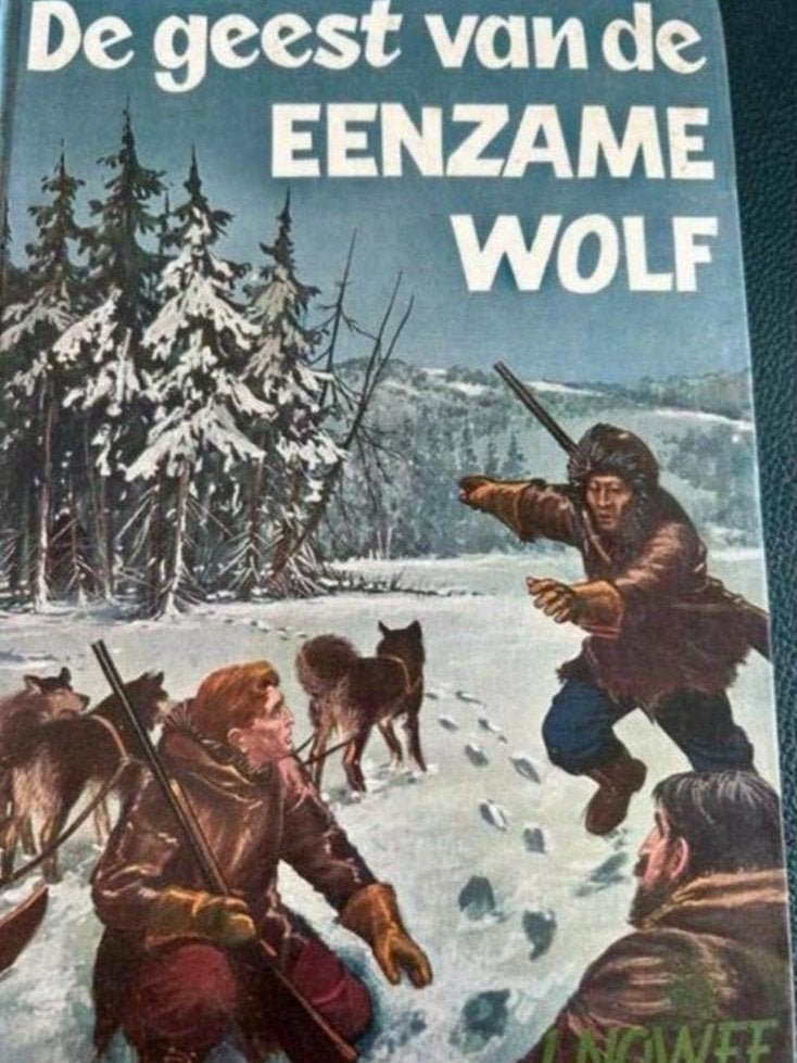 Arendsoog 12 - De geest van de Eenzame Wolf P.NOWEE, Ophalen of Verzenden, Gelezen
