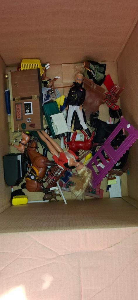 Grote Barbie en paarden speelset met accessoires, Ophalen of Verzenden, Gebruikt, Barbie