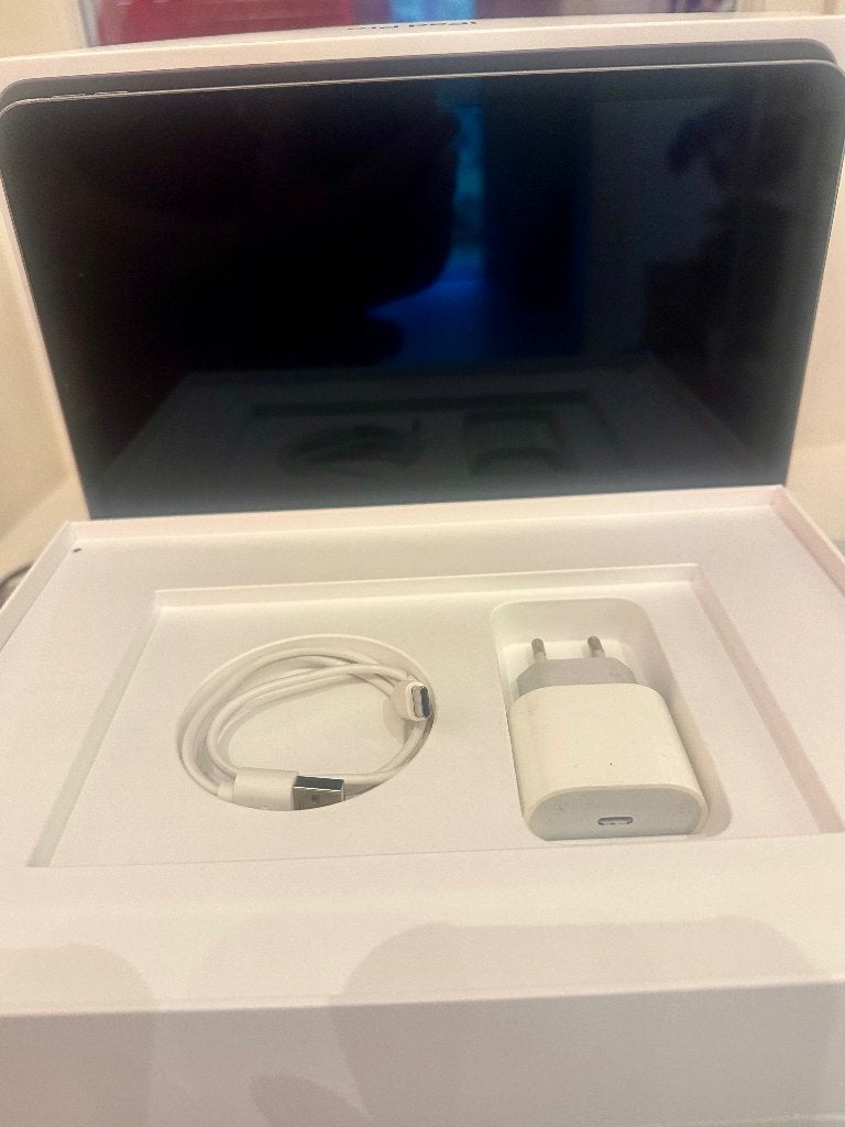 iPad Pro 11 inch 256GB