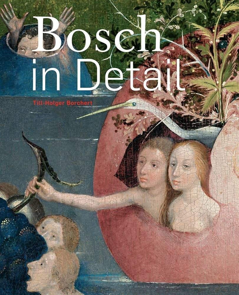 Bosch in detail, Ophalen of Verzenden, Zo goed als nieuw, Schilder- en Tekenkunst