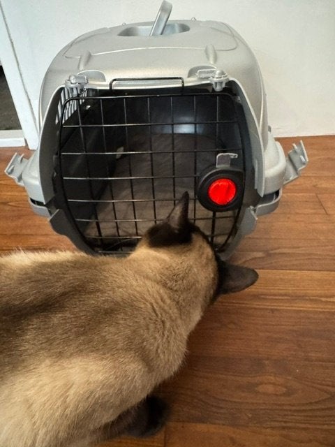 Cat carrier, Ophalen of Verzenden, Gebruikt