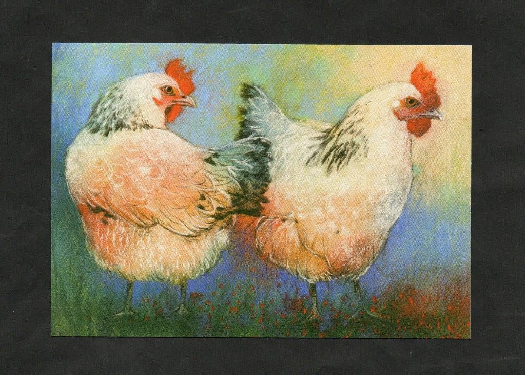 Twee Kippen Pastel door Loes Botman., Ophalen of Verzenden, 1980 tot heden, Ongelopen, Vogel