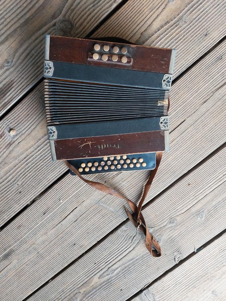 Oude accordeon, merk 'Trudi', voor de liefhebber, Muziek en Instrumenten, Accordeons, Gebruikt, Met riemen, Overige formaten, Knopaccordeon