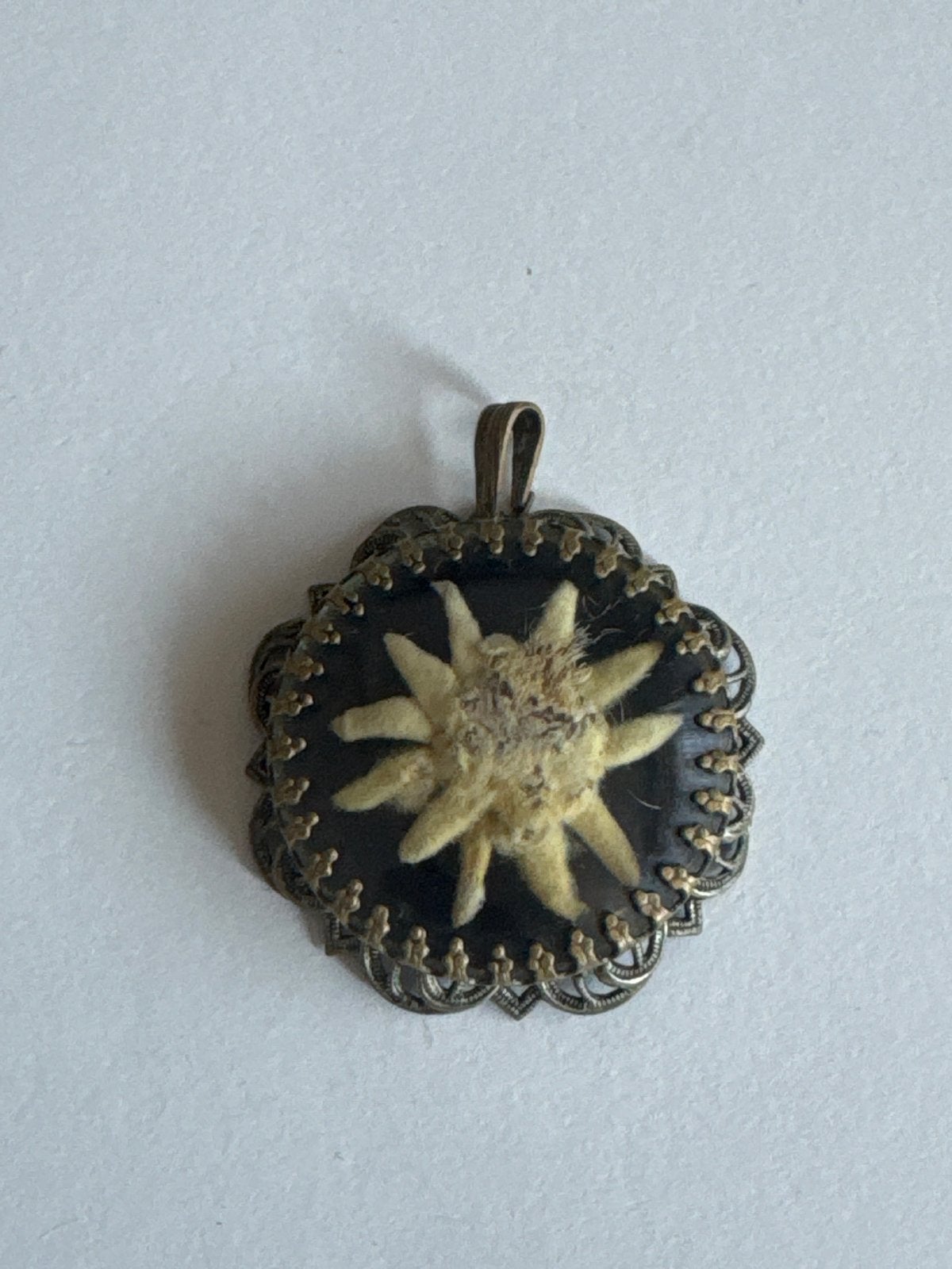 Vintage Edelweiss Hanger - Alpenbloem Medaillon, Overige materialen, Gebruikt, Ophalen of Verzenden, Bloem of Plant
