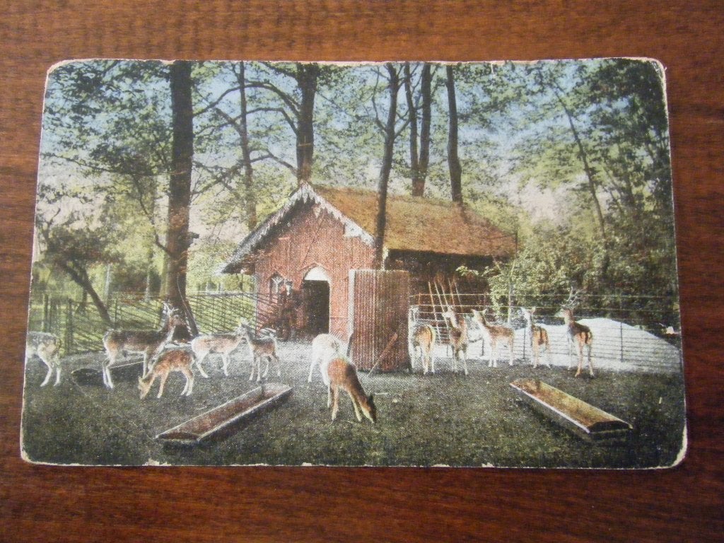 F89 - Dordrecht - Hertenkamp - 1917 - Mooi/Oud, Ophalen of Verzenden, Voor 1920, Zuid-Holland