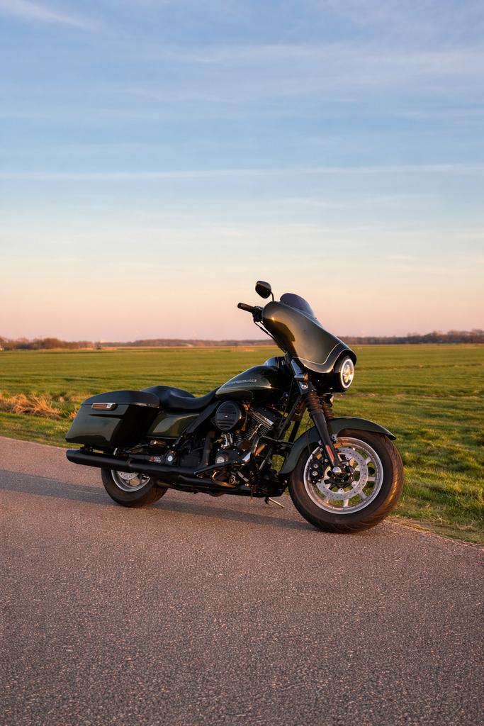 2002 Harley Davidson Electra glide SLEEPER, Particulier, Toermotor