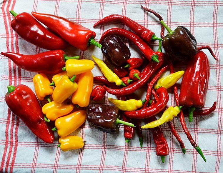 Biologische paprikaplanten en peperplanten, paprika, peper, Tuin en Terras, Planten | Tuinplanten, Ophalen of Verzenden, Eenjarig