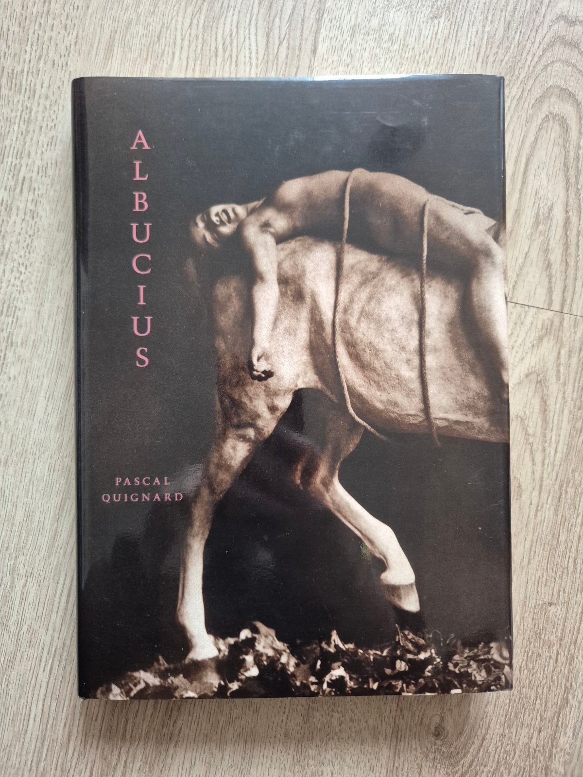 Pascal Quignard - Albucius (Hardcover Eerste Druk 1992 - The, Ophalen of Verzenden, Zo goed als nieuw