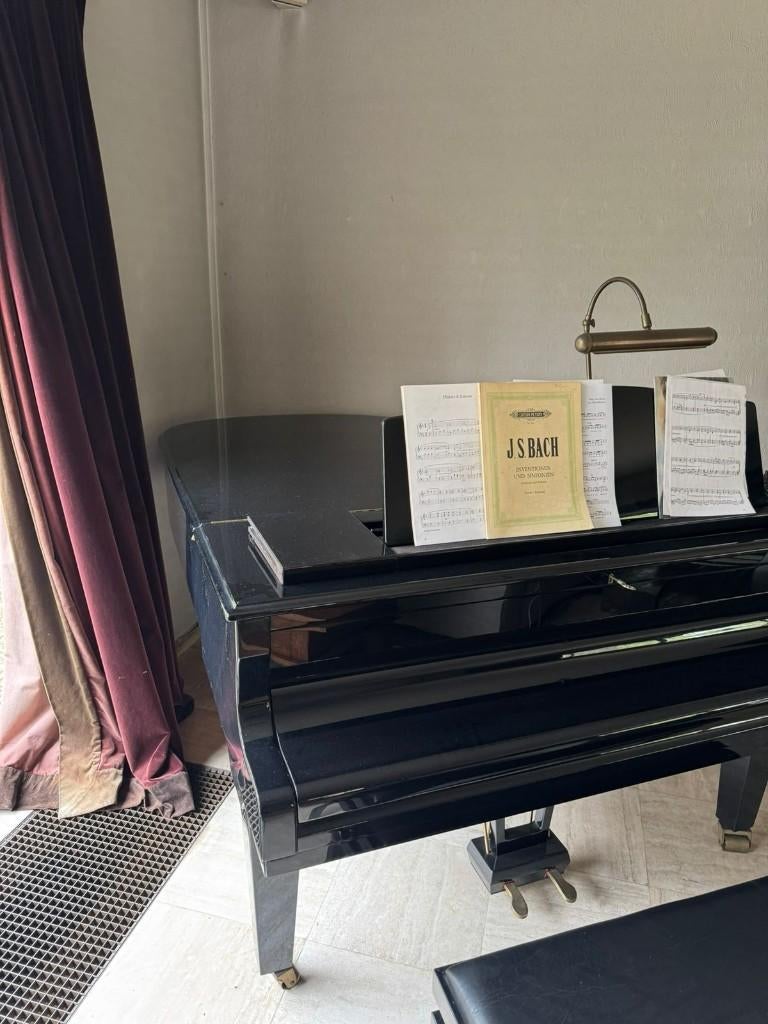 piano vleugel, Muziek en Instrumenten, Ophalen, Gebruikt, Zwart, Hoogglans
