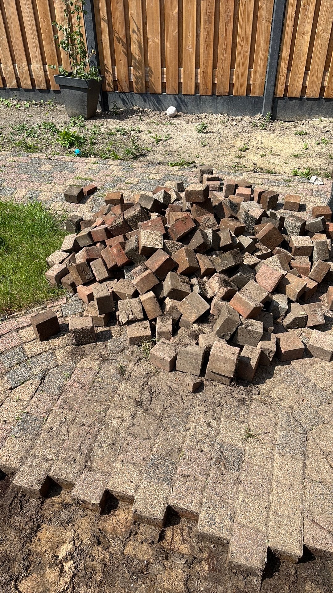 Klinkers gratis afhalen., Ophalen of Verzenden, Zo goed als nieuw, Beton, Klinkers