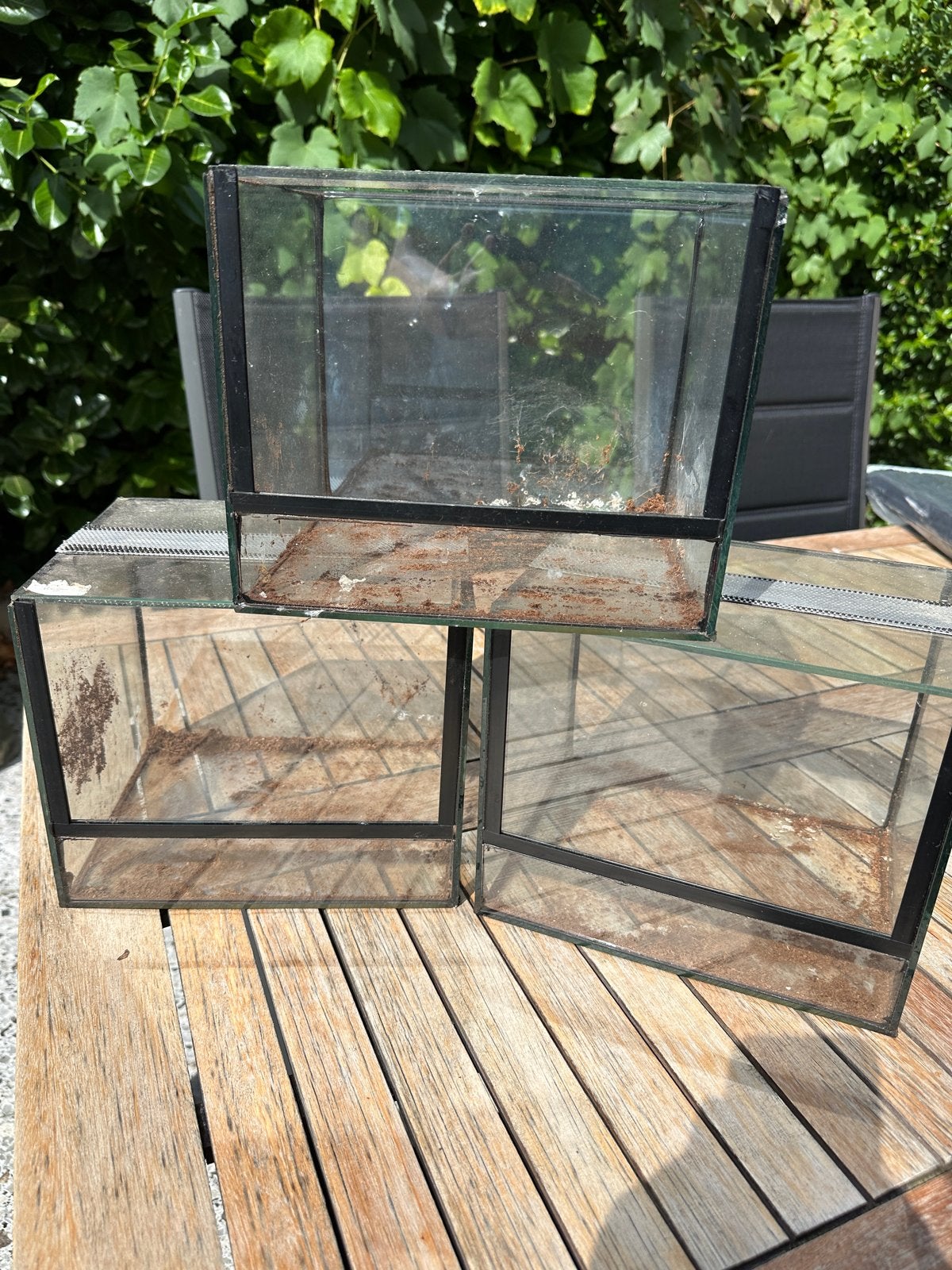 Terrarium voor spinnen of andere kleine reptielen, Ophalen, Gebruikt, Terrarium of Paludarium