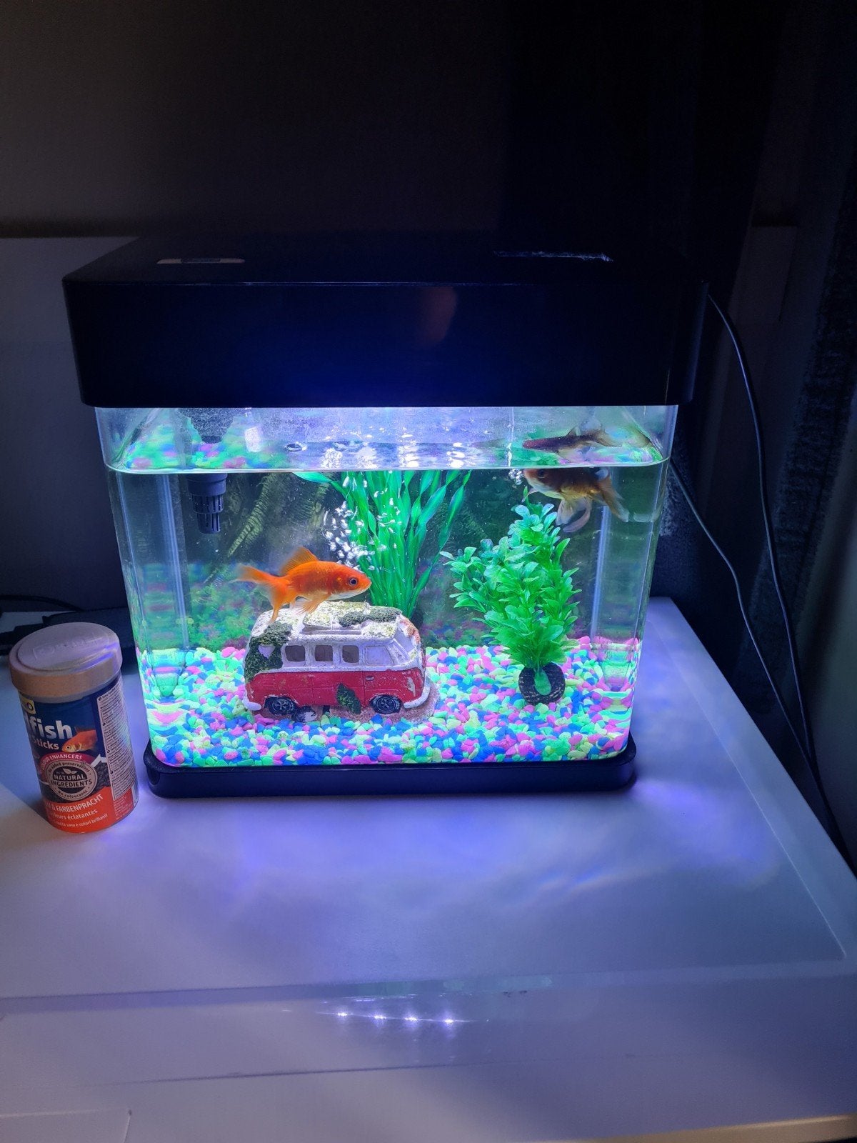 Aquarium met 2 goudvissen, Ophalen of Verzenden, Inclusief toebehoren, Zo goed als nieuw, Gevuld zoetwateraquarium