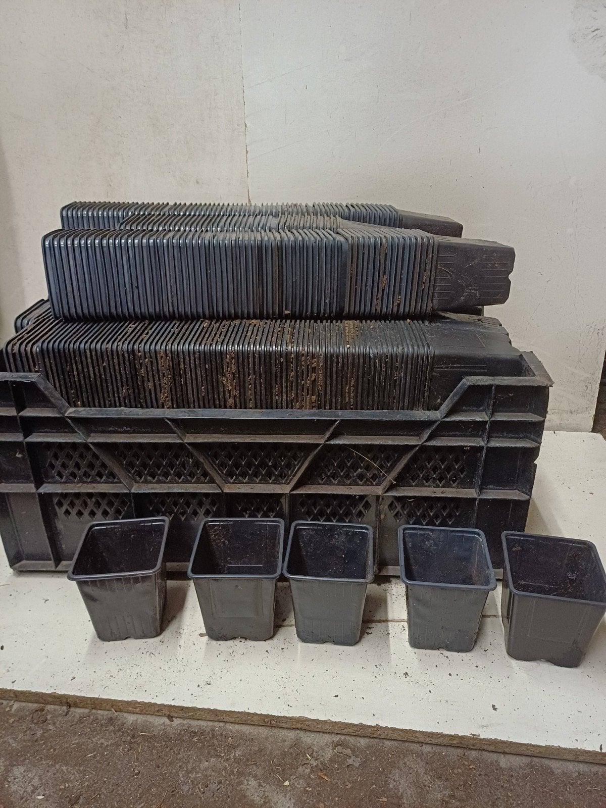 diverse kweekpotten plantenpotten bloempotten p9 9x9x10 cm, Tuin en Terras, Kunststof, Gebruikt, Minder dan 30 cm, Vierkant