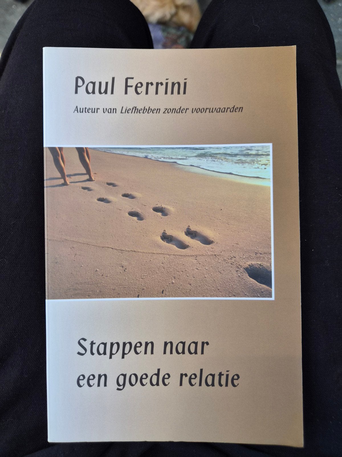 Stappen naar een goede relatie - Paul Ferrini, Ophalen of Verzenden, Gelezen, Overige onderwerpen, Paul Ferrini