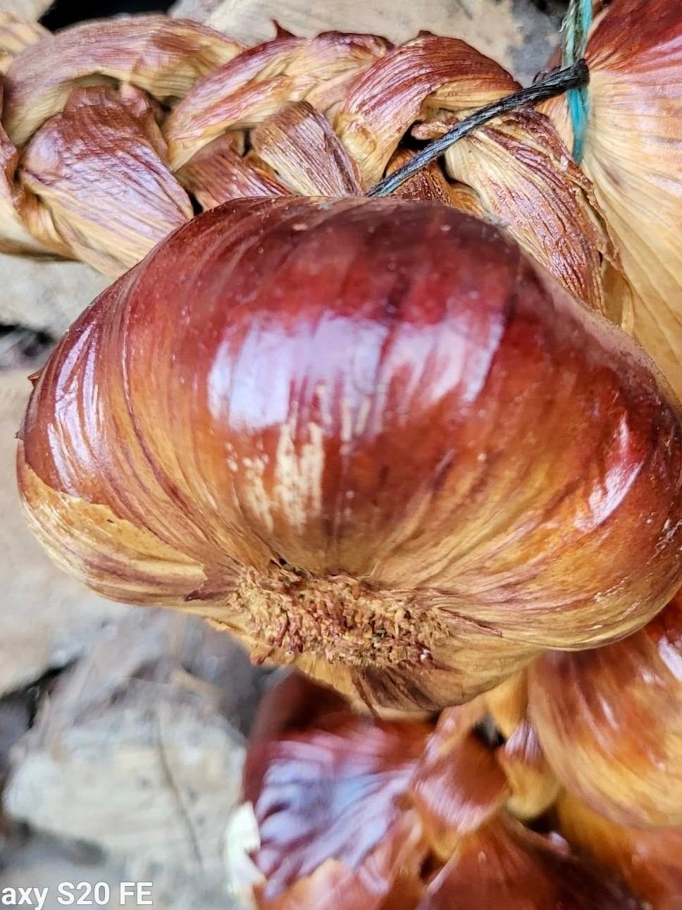 gerookte knoflook uit frankrijk, Ophalen of Verzenden