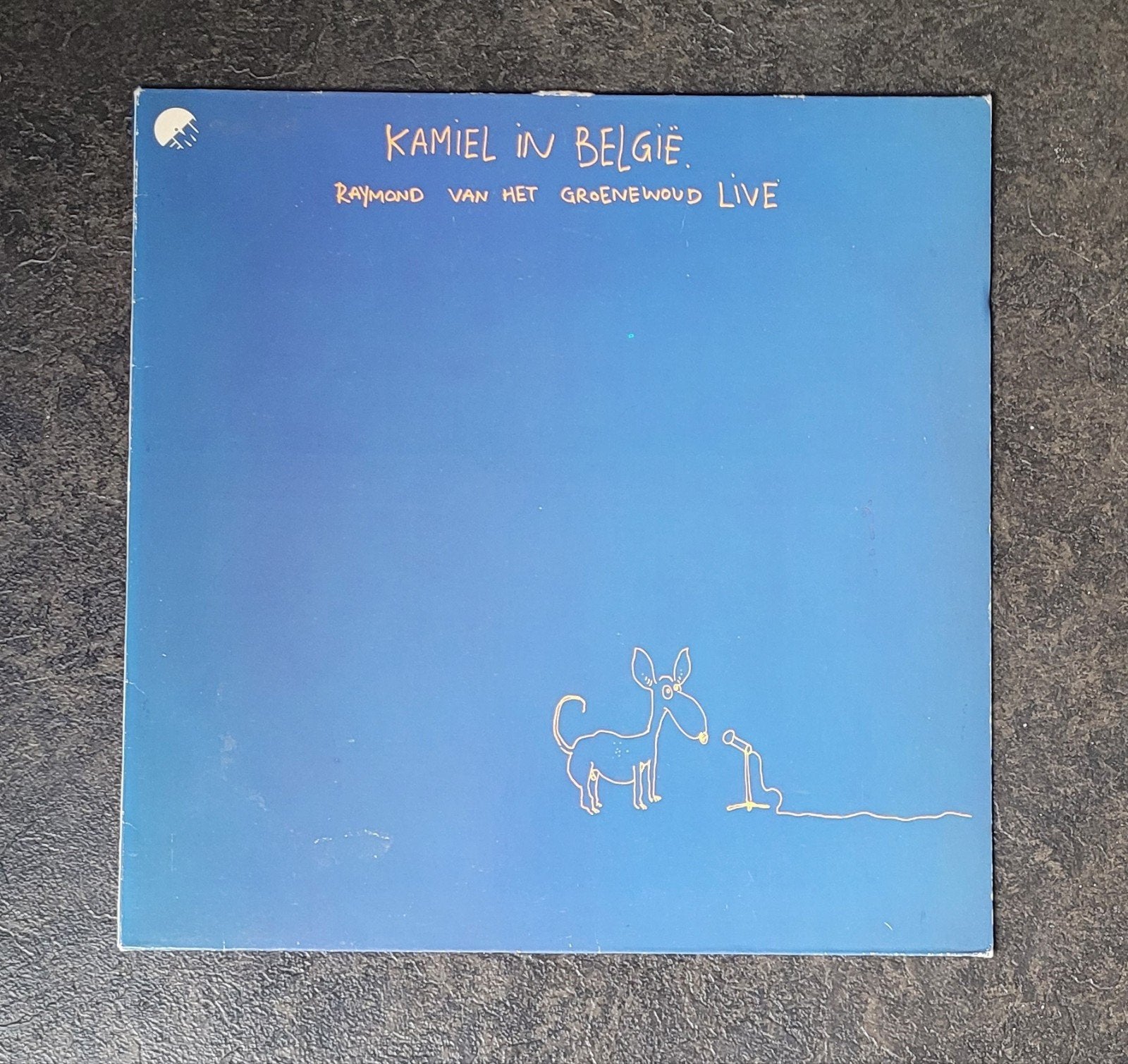 Raymond van het Groenewoud, Cd's en Dvd's, Vinyl | Pop, LP, Ophalen of Verzenden