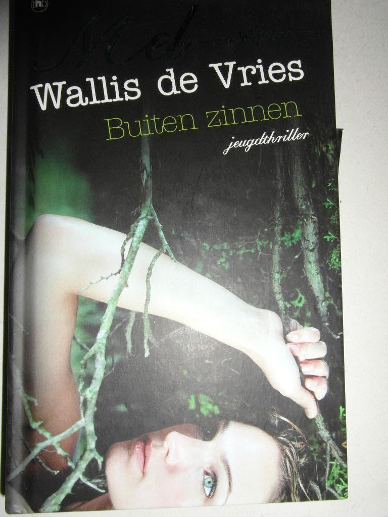 Buiten zinnen, Wallis de Vries, Ophalen of Verzenden, Zo goed als nieuw