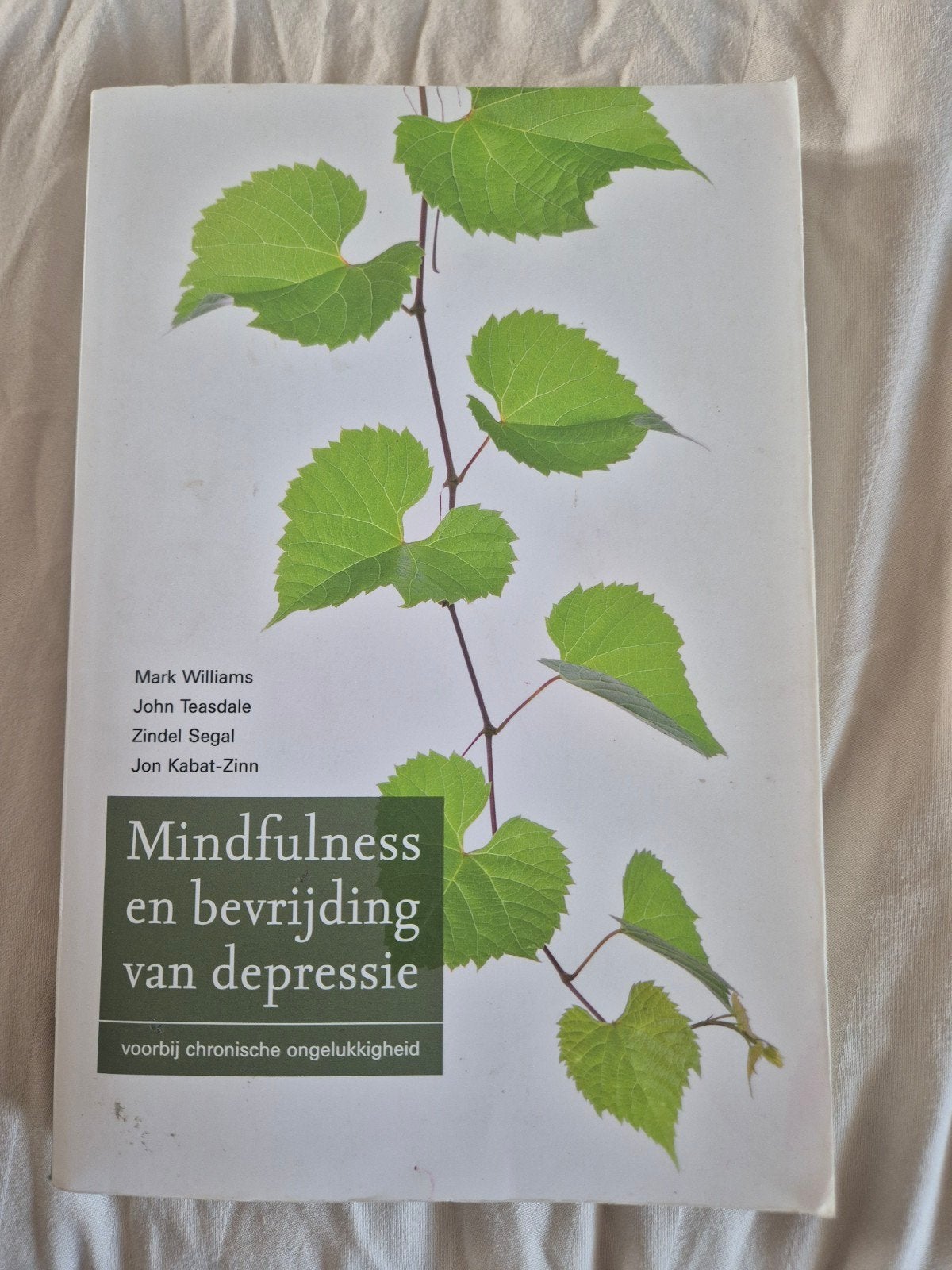 Mindfulness en bevrijding van depressie, Boeken, Gelezen, Ophalen of Verzenden, Mark Williams, John Teasdale, Zindel Segal, Jon Kabat-Zinn