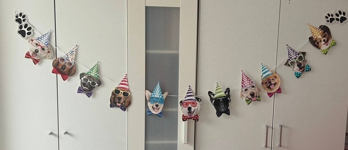 Honden Slingers voor de verjaardag van uw hond 3 voor 3,00, Verzenden, Nieuw, Versiering, Verjaardag