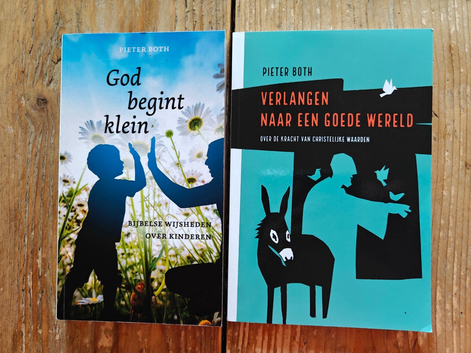 2 Boeken van Pieter Both., Ophalen of Verzenden