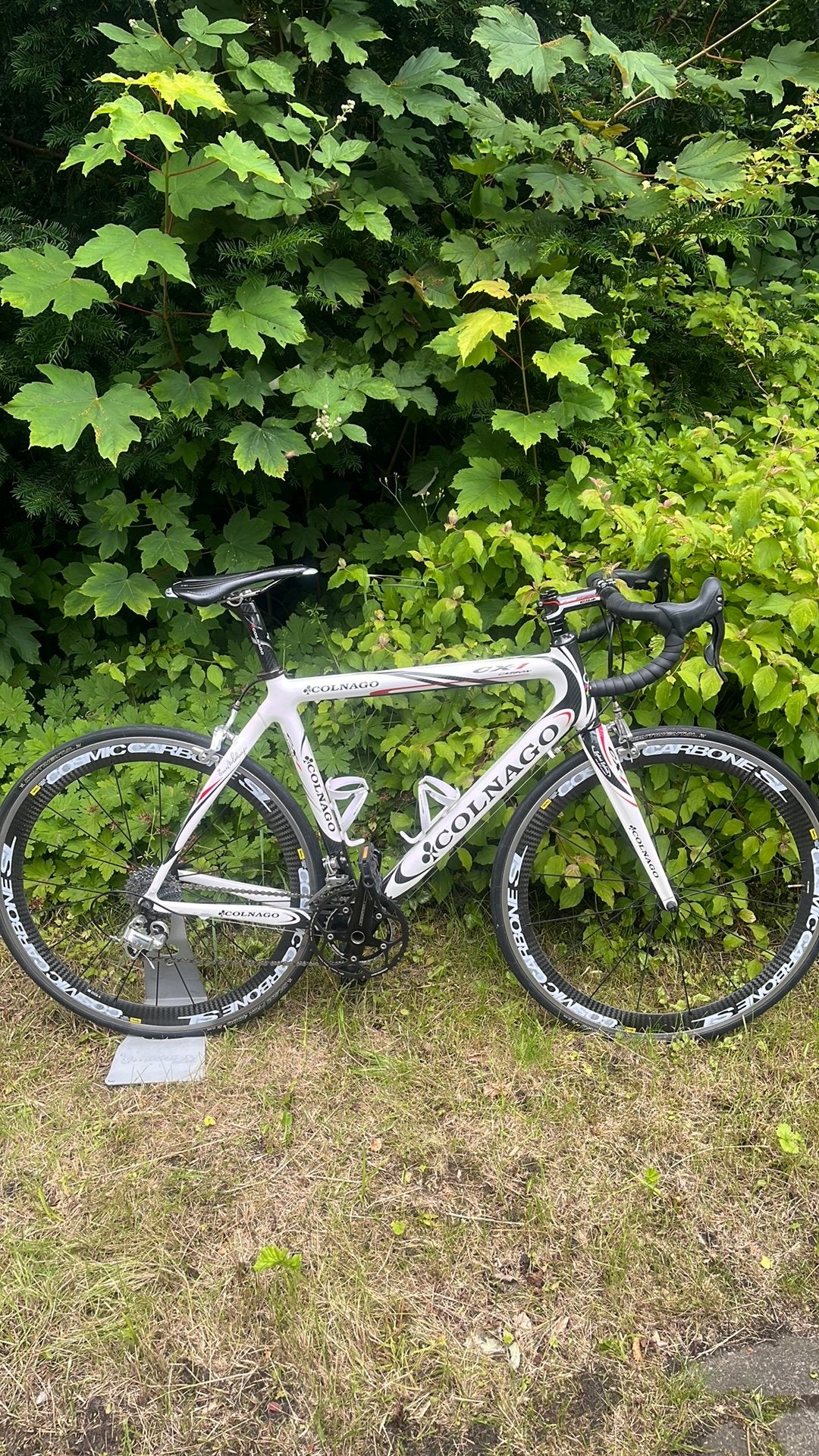 Colnago cx 1 maat 55, 28 inch, Gebruikt, Carbon, Velgrem