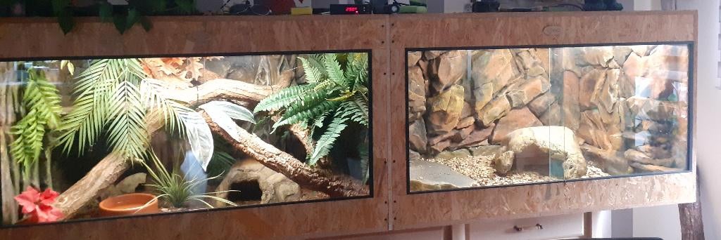 Terrarium, Dieren en Toebehoren, Reptielen en Amfibieën | Toebehoren, Ophalen, Gebruikt, Terrarium of Paludarium