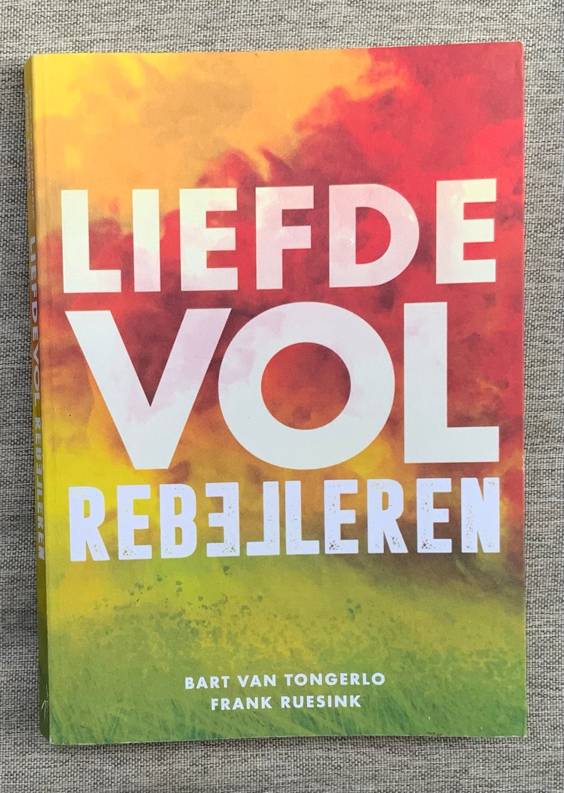 Liefdevol Rebelleren - Bart van Tongerlo & Frank Ruesink, Ophalen of Verzenden, Zo goed als nieuw, Nederland