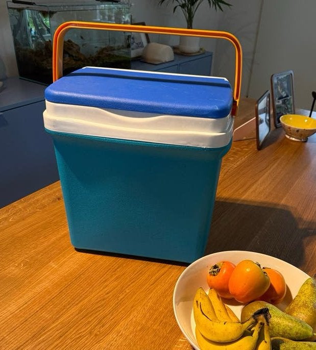 Nette koelbox - Ideaal voor picknicks en uitjes, Ophalen, Gebruikt, Koelbox, Koelelement