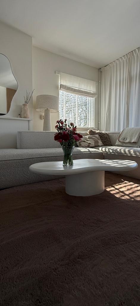 Ogranische salontafel set By Boo Seki, Ophalen, Zo goed als nieuw, Overige vormen, 50 tot 100 cm