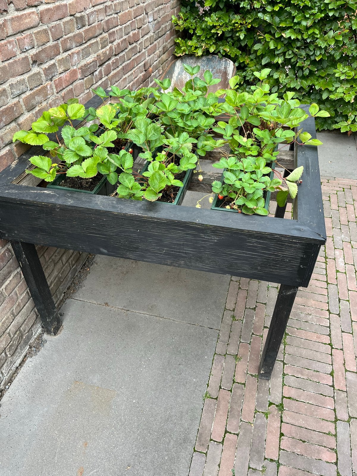 Zwarte houten plantenbak op poten - incl aardbeien, Tuin en Terras, Gebruikt, 100 cm of meer, Balkon, Ophalen of Verzenden