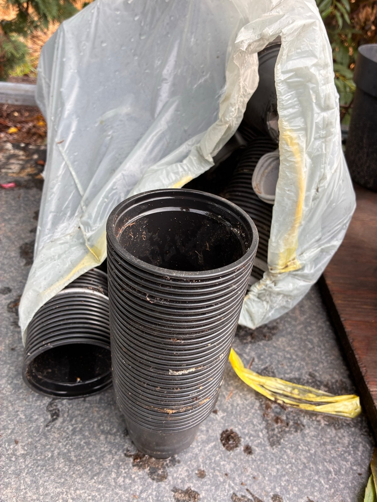Gratis Zaaipotjes 7 cm - Ideaal voor stekjes en zaailingen, Tuin en Terras, Ophalen, Kunststof, Gebruikt, Minder dan 30 cm