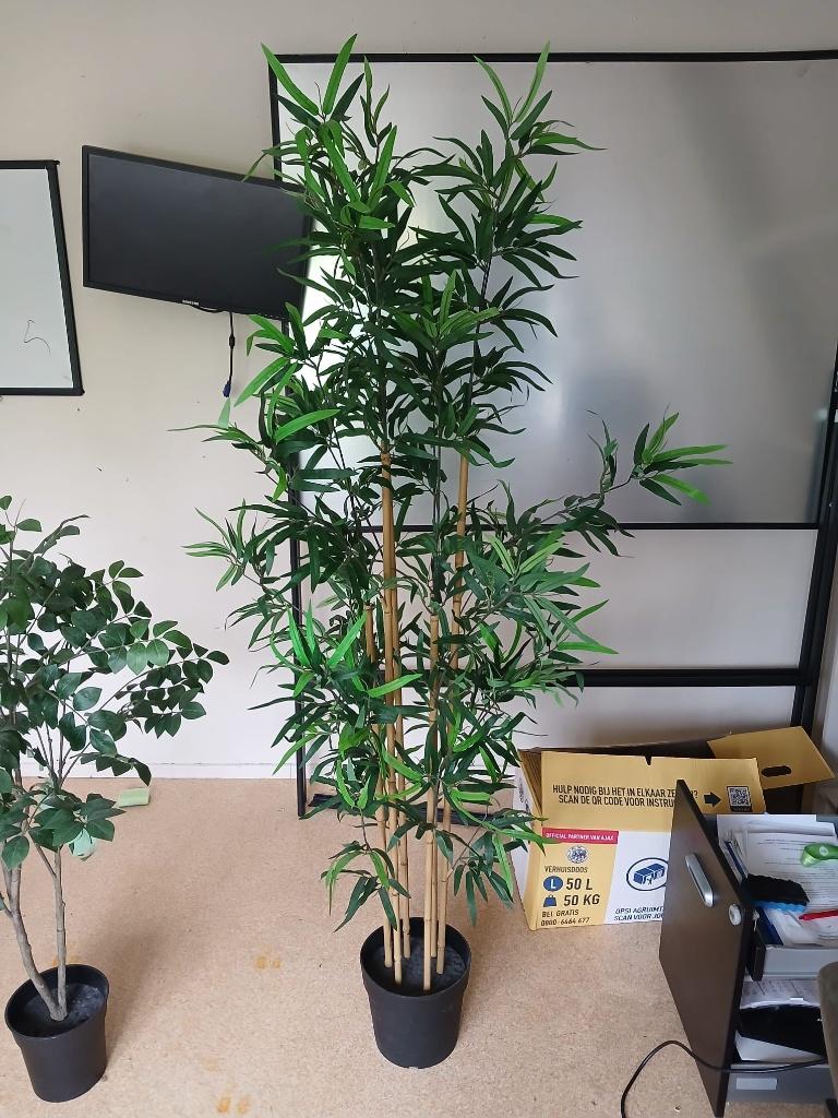 plant, Ophalen, Zo goed als nieuw