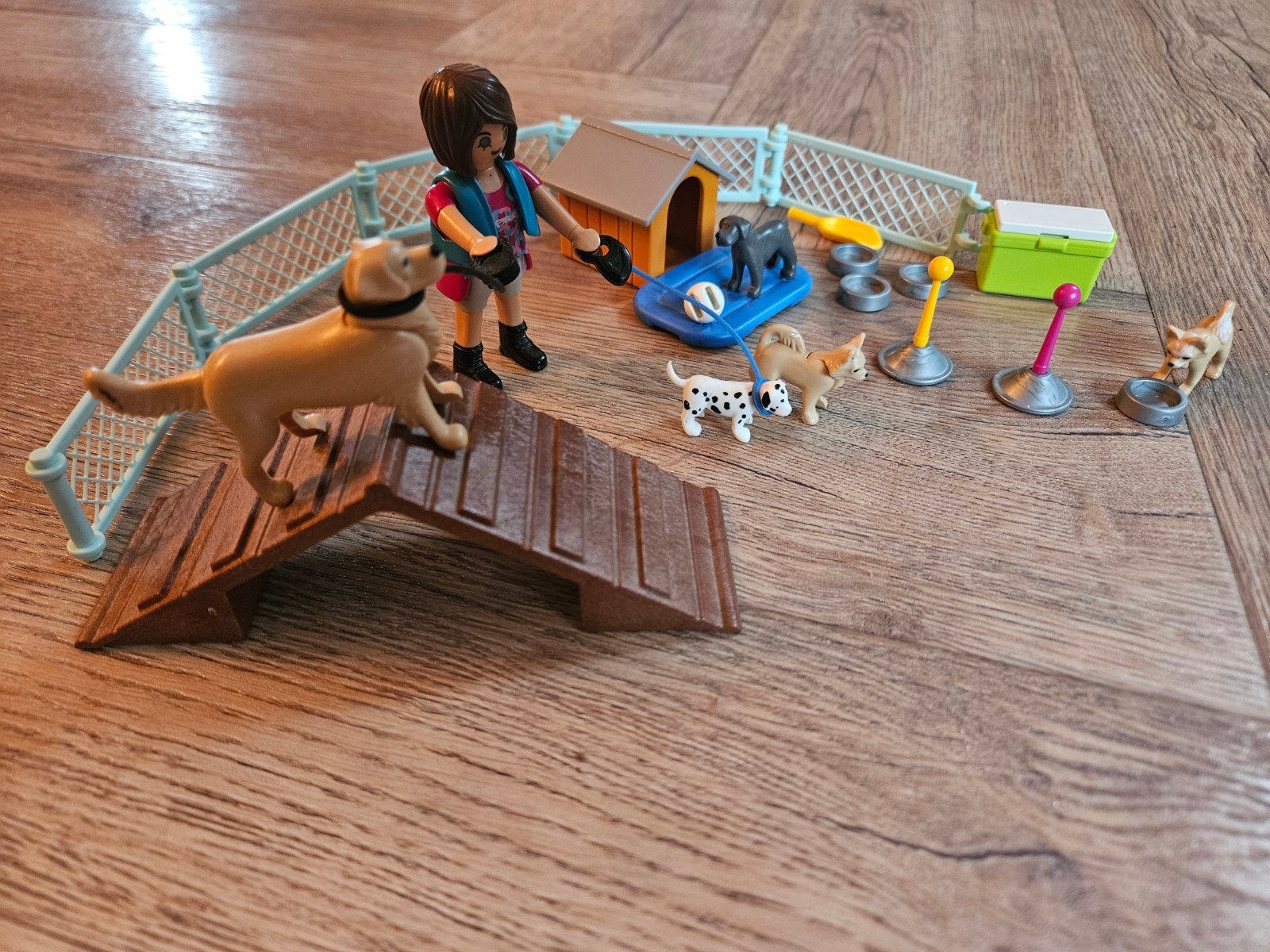 Playmobil hondentrainer, Ophalen