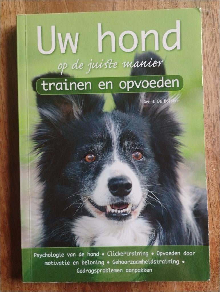 Uw hond op de juiste manier trainen en opvoeden, Honden, Ophalen of Verzenden, Geert De Bolster, Zo goed als nieuw