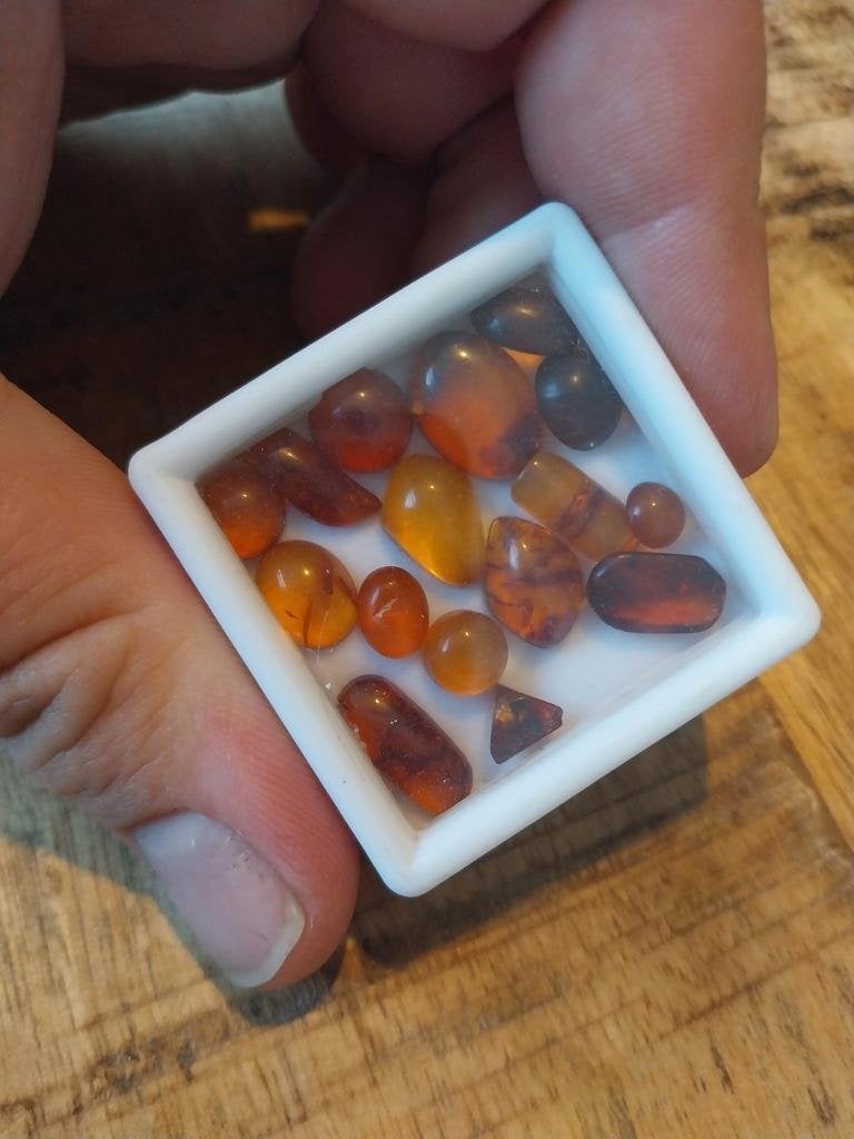 Baltic amber cabochons, Ophalen of Verzenden, Mineraal