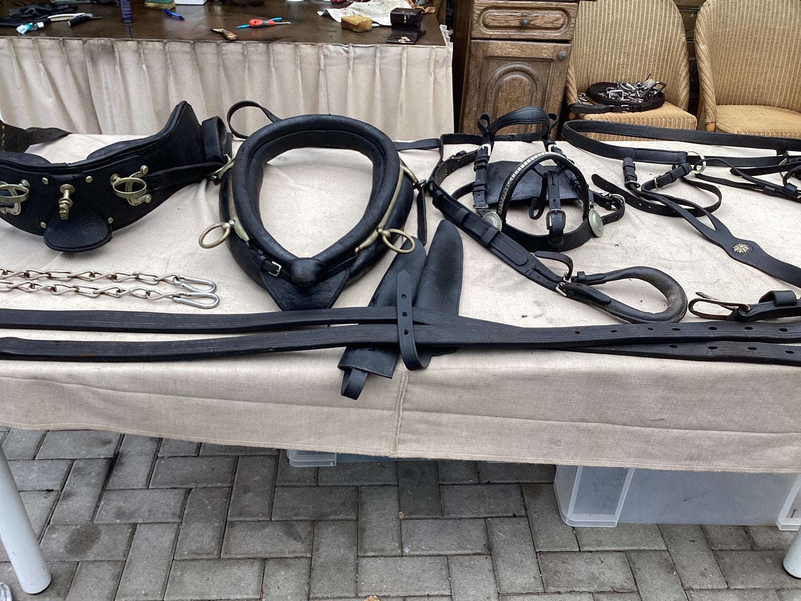 Enkelspan engels gareel ( fries ) mentuig   Cob €200, Gebruikt, Overige disciplines, Handgemaakt, Mentuig