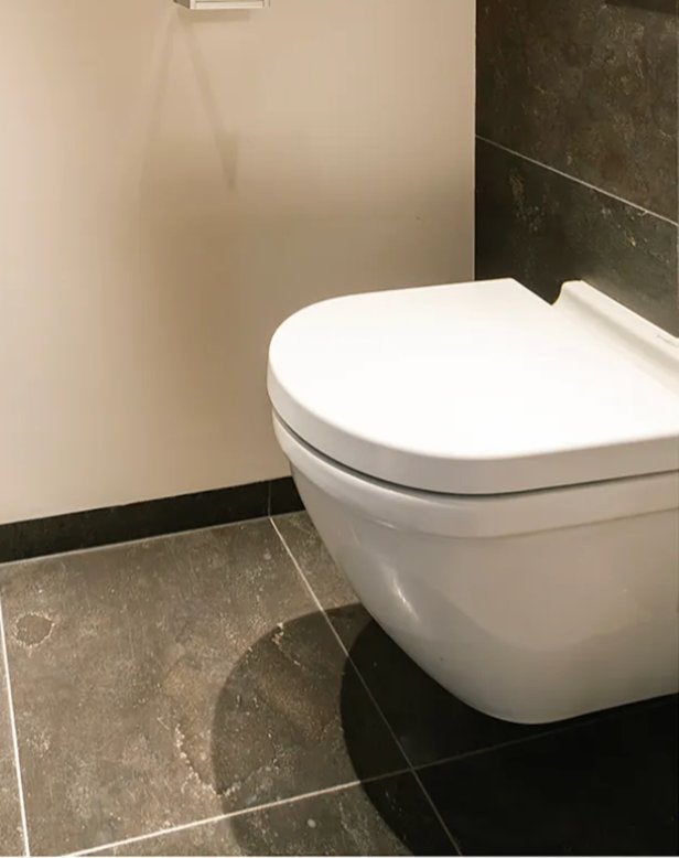 Geberit Toilet Bowl, Ophalen, Zo goed als nieuw, Toilet
