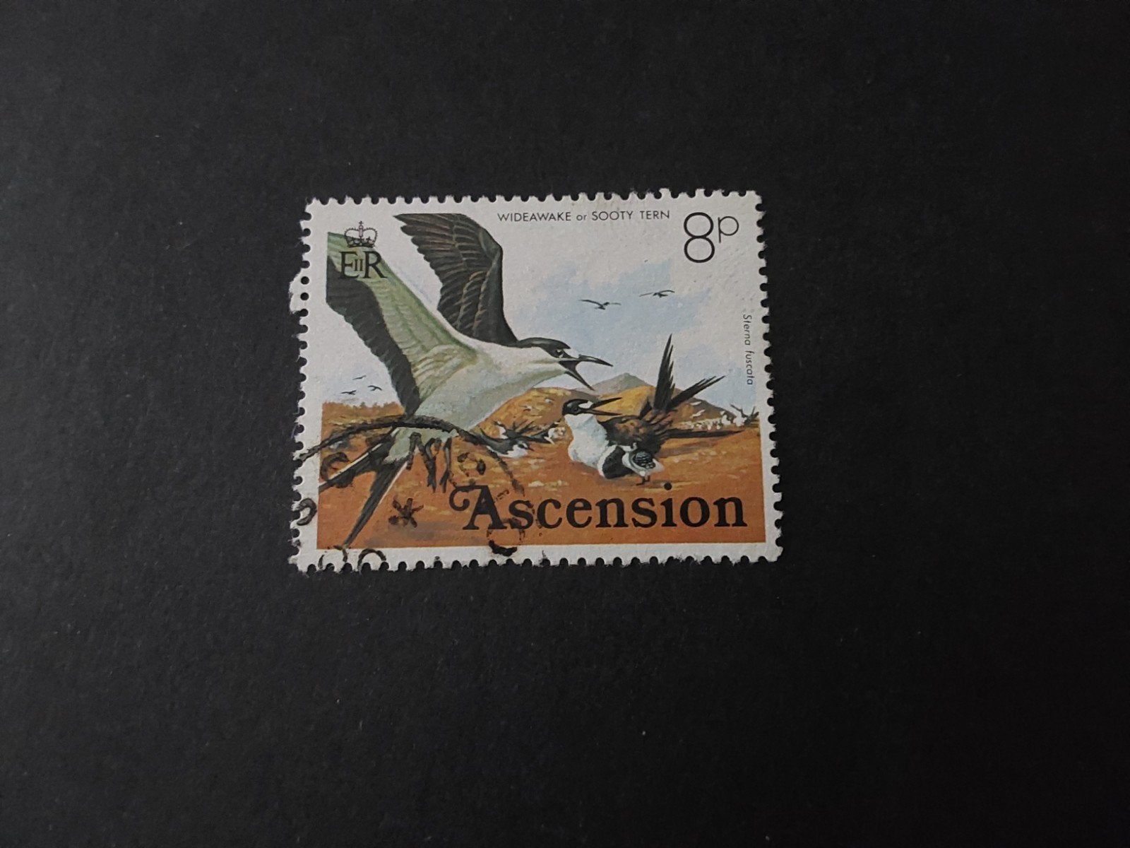Ascension, SG 206, Verzenden, Gestempeld