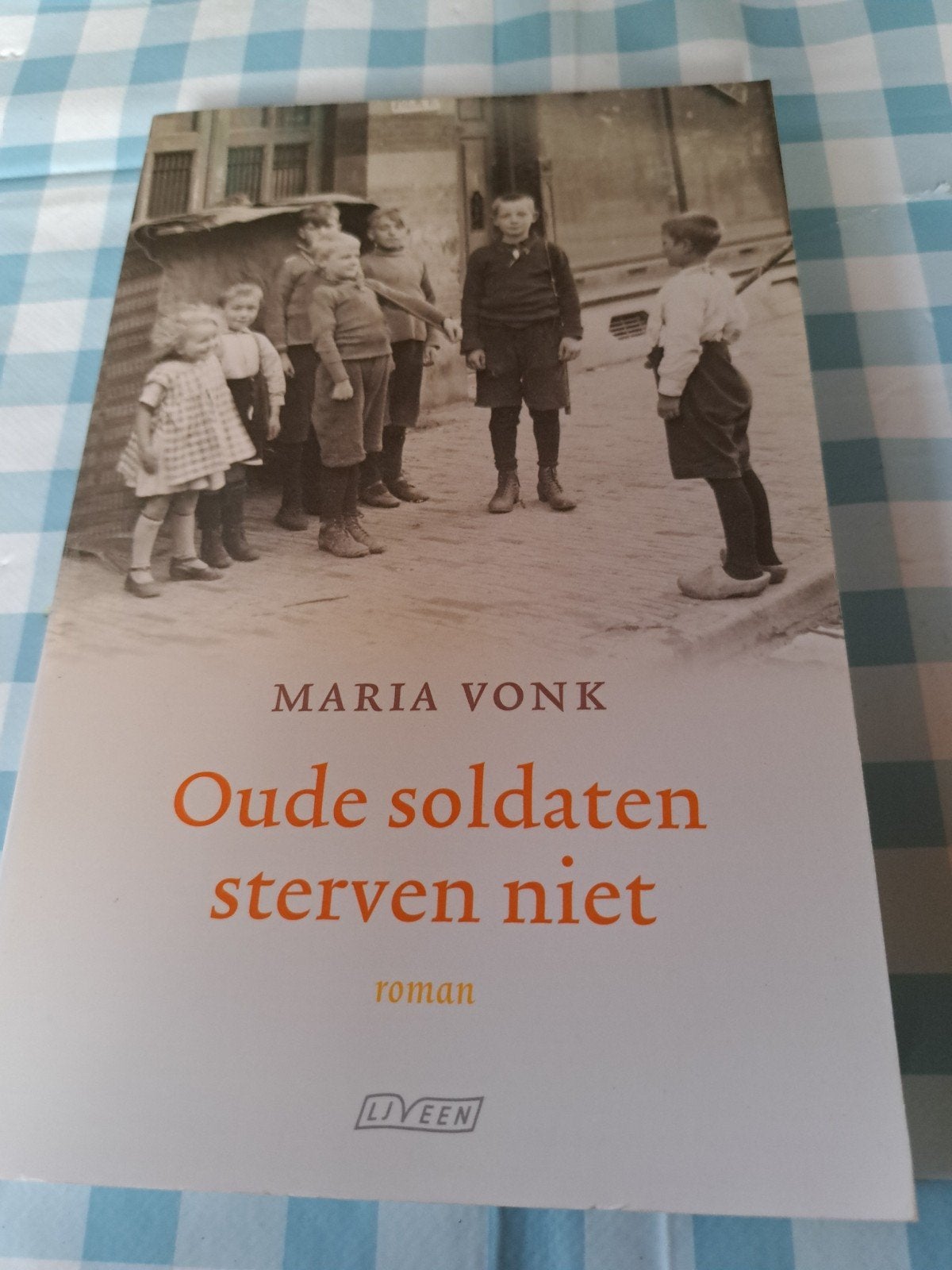 C: Oude soldaten sterven niet - Maria Vonk, Boeken, Ophalen of Verzenden, Zo goed als nieuw, Maria Vonk, Nederland
